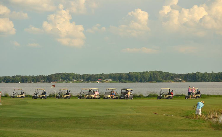 line of golf carts